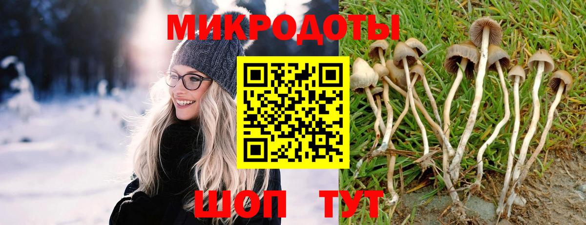 Псилоцибиновые грибы мицелий Елизово